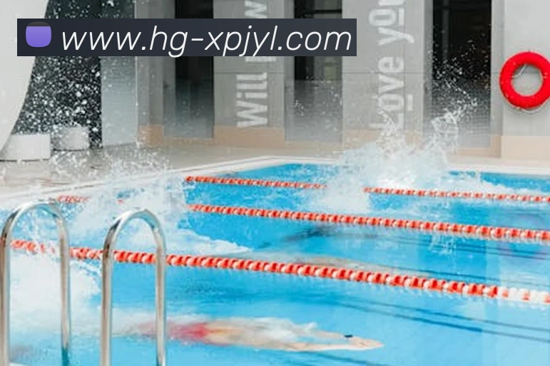 澳门新葡京娱乐平台生态图